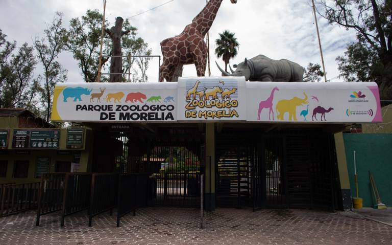 Reabrirá sus puertas el Zoológico de Morelia